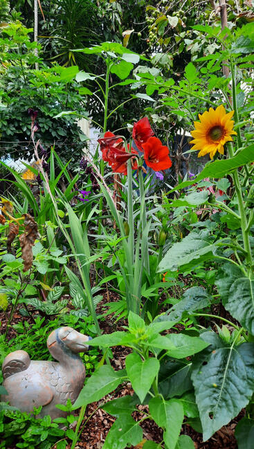 Garden-staging